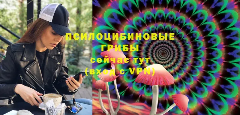 Галлюциногенные грибы Magic Shrooms  Аркадак 